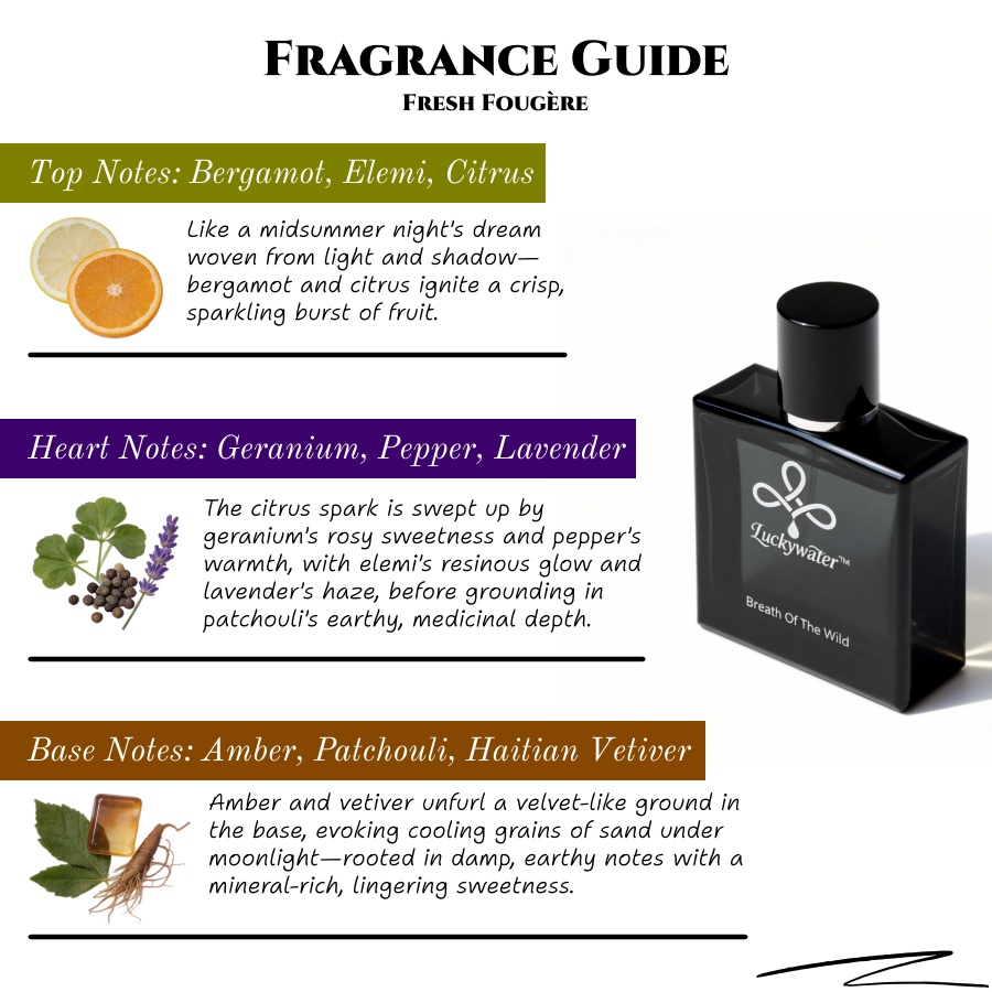 عطر كولونيا للرجال يدوم طويلاً - مراجعة Home Fragrance Business وسعره