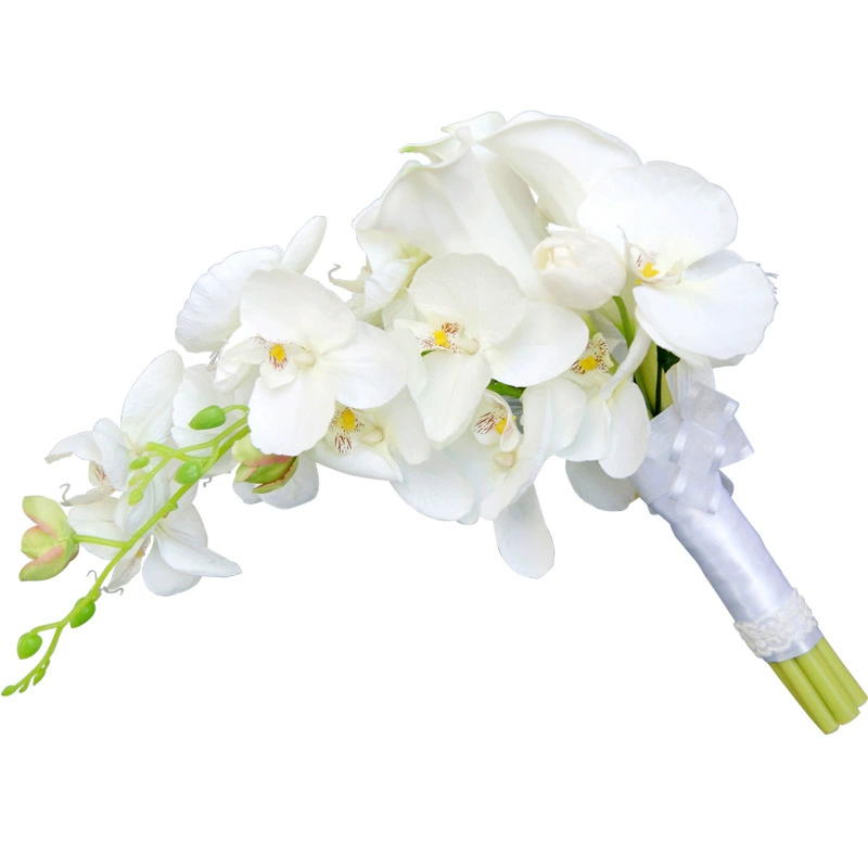 زفاف فرنسي رومانسي أبيض كالا ز - مراجعة Home Fragrance In French وسعره
